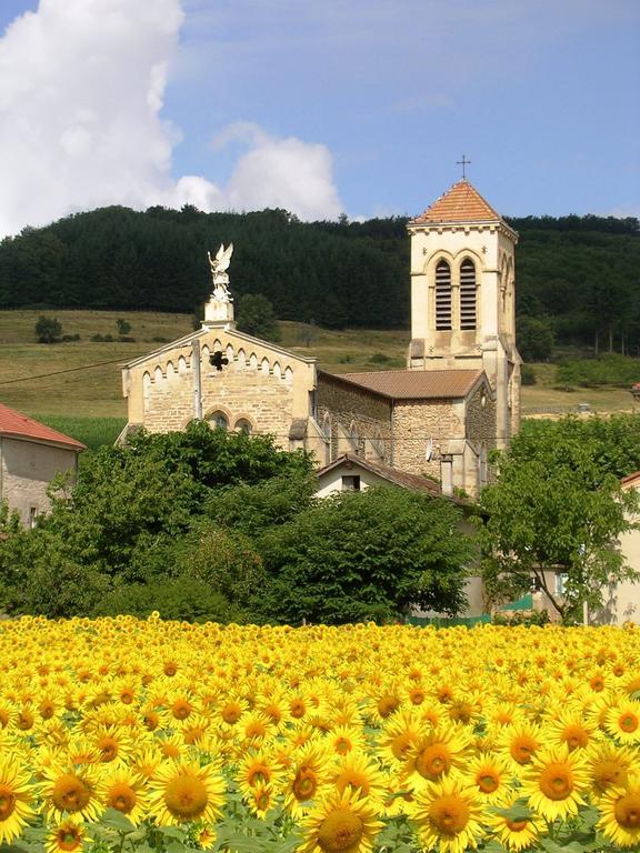 Chambre D'Hotes Tardy Saint-Michel-sur-Savasse Kültér fotó